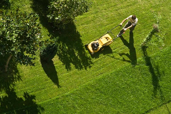 Lawn Care & Landscaping