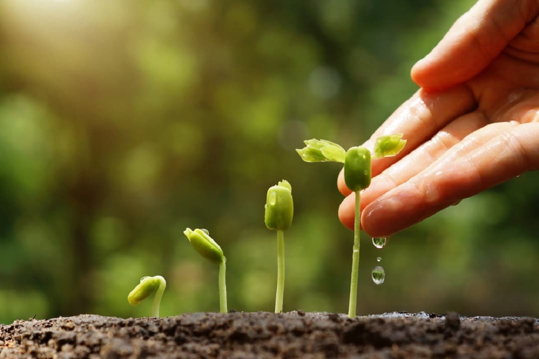 How to Make an Investment Plan: The Ultimate Guide